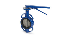 Butterfly Valve Resilient Seated Cast Steel Body Stainless Steel Disc Viton Seat (CBF - WV) - Valve Supply