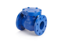 Check Valve Swing Type Cast Iron Flanged PN16 (CF - CK CI) - Valve Supply
