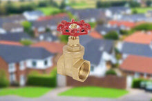 Economy Gate Valve Brass PN20 Screwed Connections (GV20) - Valve Supply