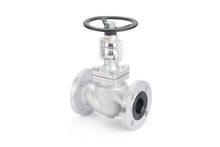 Globe Valve Stainless Steel Flanged (CF - GL) - Valve Supply