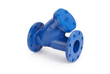 Y Strainer 40 Mesh Flanged PN16 (CF - ST) - Valve Supply